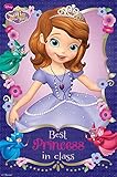 Sofia the First - Best Princess Cartoon Poster 22 x 34in