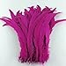 Sowder Fushia Rooster Coque Tail Feathers 13-16inch Lengh Pack of 50