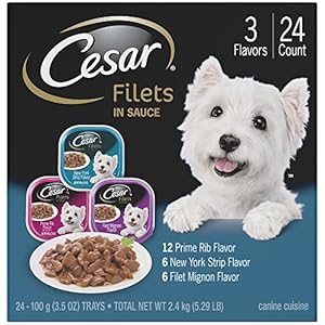 CESAR GOURMET FILETS Multi-Pack (Pack of 24) CESAR GOURMET FILETS Multi-Pack (Pack of 24)