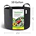 SYOURSELF 6 Pack 10 Galllon Grow Bags, Aeration Fabric Pots with Handles-400GSM Non-Woven Durable Thickened Plant Containers for Nursery Garden Home Vegetable, Fruit, Tree+6 Waterproof Labelsthumb 2