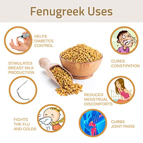 Hebhac Herbs Fenugreek Capsules for Women 120 Capsules 1000mg Dietary