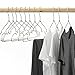 HOUSE DAY Metal Hangers 20 Pack Strong Metal Wire Hangers 16.5 Inch, Coat Hanger, Standard Hangers, Suit Hangers, Clothes Hanger