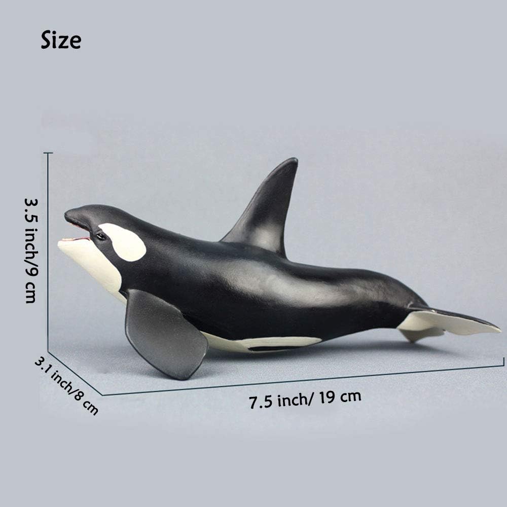 The Orca Blackfish Aquarium Decor - Image 4