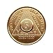 5 Month Bronze AA (Alcoholics Anonymous) - Sober / Sobriety / Birthday / Anniversary / Recovery / Medallion / Coin / Chip