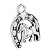 20 Pieces Brave Horse Shoe Protection Power Lucky Charms Findings Jewelry Pendant Necklace Making 23x18mm