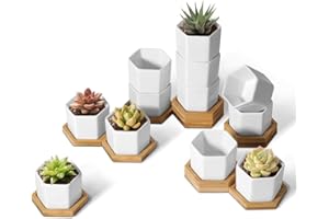 T4U Mini White Succulent Planter Pots with Bamboo Tray Hexagon Set of 12,Tiny Geometric Ceramic Cactus Plant Holder, Plant Gifts for Gardener Women Coworker, Home Office Table Desk Decoration