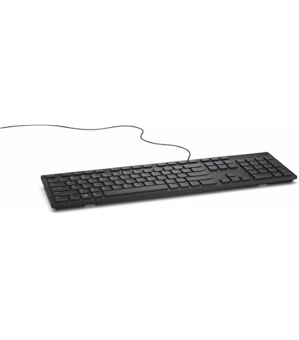 Amazon.com: Dell Wired Keyboard - Black KB216 (580-ADMT) : Electronics