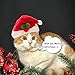 PUPTECK 9 PCS Christmas Cat Toys Set - Cat Collar, Soft Ball, Catnip Bag, Pet hat, Plush Toys, Crinkle Ball, Red Bow