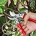 WYF 8.3 Inches Bypass Pruning Shears, Professional Hand Pruners Garden Clippers with SK5 Stainless Steel Blades, Flower Cutter, Garden Shear, Secateurs Hand Trimmers for Gardening