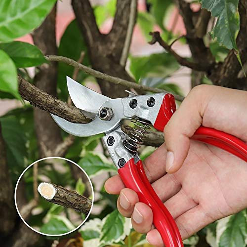 WYF 8.3 Inches Bypass Pruning Shears, Professional Hand Pruners Garden Clippers with SK5 Stainless Steel Blades, Flower Cutter, Garden Shear, Secateurs Hand Trimmers for Gardening