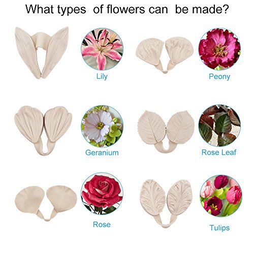 62pcs Gumpaste Flower and Leaf Tool Kit 6set Fondant Flower Silicone