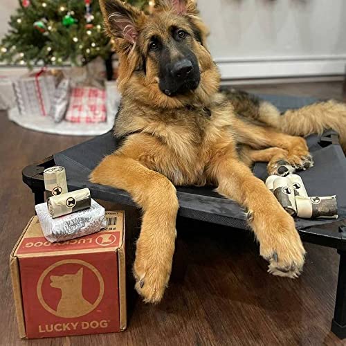 Lucky Dog Ultimate Poop Bags ASTM D6400 Compliant 10 Roll Pack, 120