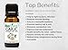 Biofinest Garlic Essential Oil - 100% Pure Organic Therapeutic Grade - Best for Aromatherapy & Massage - A Natural Healing Agent - Free E-Book (10ml)