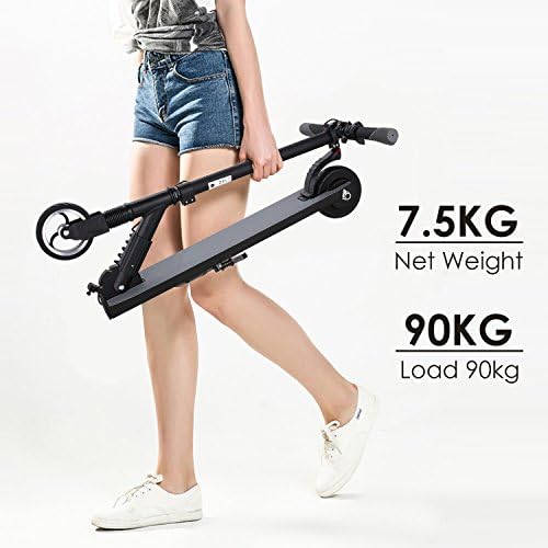 Qulista Electric Scooter Adult Foldable Motorised Scooter 250W Battery 4.0AH 24V 3 Hours Quick Load for Adults Kids Age 8+