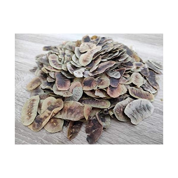 Getrocknete Senna Schoten Kräutertee 85g - 1,95 KG Prämie Qualität Senna Alexandrina (1950 gramm) – Bild 8