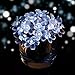 LightsEtc 15.7 Feet 20 LED White Solar Blossom String Lights for Home, Holiday Decoration