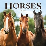 Horses 2020 Calendar by 