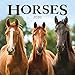 Horses 2020 Calendar by 