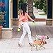 Ruff 'n Ruffus Retractable Dog Leash with Free Waste Bag Dispenser and Bags + Bonus Bowl | Heavy-Duty 16ft Retracting Pet Leash | 1-Button Control | (Retractable Dog Leash (with Free Bonus))