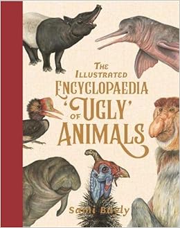 The Illustrated Encyclopaedia Of Ugly Animals Amazon Co Uk Bayly Sami 9781526363046 Books
