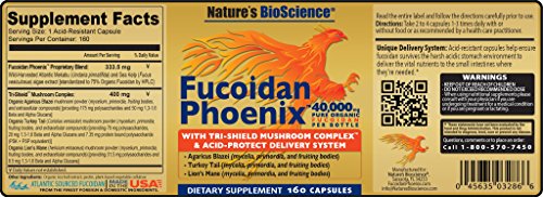 Nature's Bioscience ® FUCOIDAN Phoenix Advanced: 40,000 mg of Pure Organic Fucoidan + 64,000 mg of Pure Mushroom