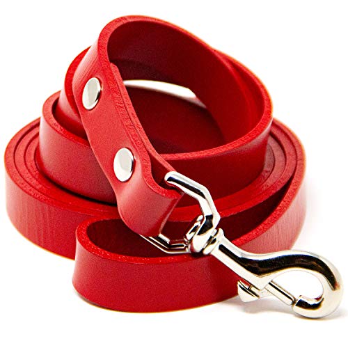 logical leather dog leash