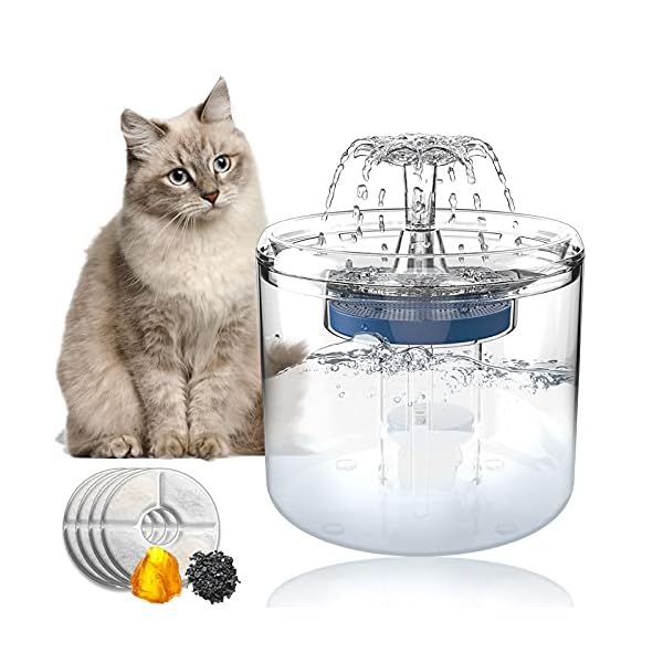 quiet pet fountain