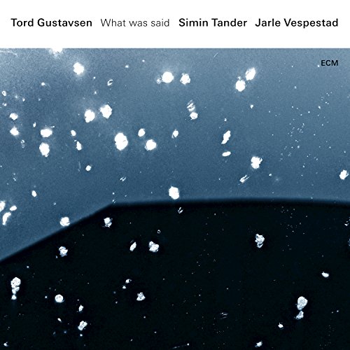 Tord Gustavsen - What was said