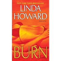 Burn: A Novel