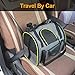 BEELIKE Cat Carrier Backpack Small Pet Backpack Carrier for Bunny Guinea Pig Chinchilla Ferret Lizard Hamster Hedgehog