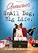 Small Dog, Big Life: Memoirs of a Furry Genius by 