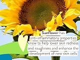 Babo Botanicals Sheer Mineral Sunscreen Lotion SPF 50 Unisex 3 oz view 5