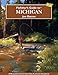 Flyfisher's Guide to Michigan - NEW EDITION