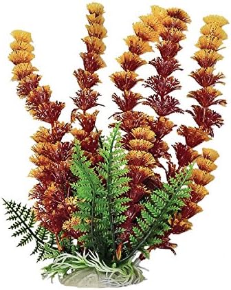 Aquatop Aquatic Supplies PD-BH41 003489 Cabomba Fire Aquarium Plant, Rust/Orange, 6"
