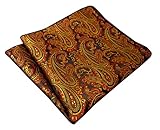 Shlax&Wing Paisley Brown Black Pocket Square Mens Hankies Hanky