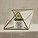 Tchan Glass Plant Terrarium Succulent Planter Prism Geometric Tabletop Brass Glass Artificial Home Decor (Gold)