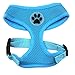BINGPET Small Dog Harness - Breathable Mesh Puppy Cat Harnesses - No Pull Adjustable Dog Harness Dog Vest Harness for Small and Medium Dogs