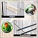 BestPet Bird Cage Parrot Flight Cage 61″ Large Birdcage Play Top Iron Heavy Duty Perch Stand Two Doors Ironthumb 3