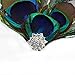 Vimans Women's 2016 Peacock Feather Beaded Hair Clip Fascinator Bridal Mini Hat