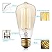 KINGSO Vintage Edison Bulbs 40W Squirrel Cage Filament Incandescent Antique Light Bulb for Home Light Fixtures E27 Base ST64 110V - 6 Pack