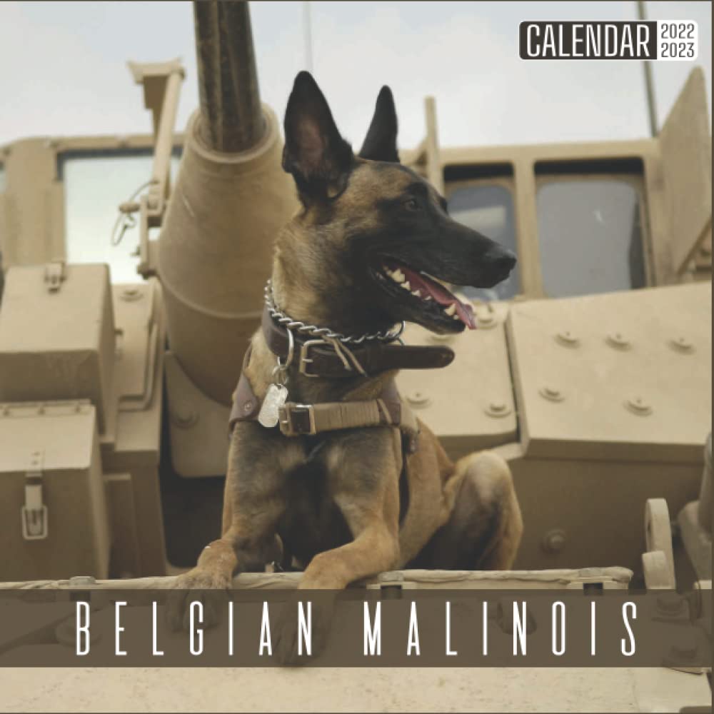Belgian Malinois Calendar 2022 2023: Official Dogs Calendar 2022, 18 Month Photo Of Belgian Malinois Calendar 2022 2023, Mini Calendar: Publishing, Thomas: 9798789449486: Amazon.com: Books