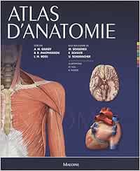 atlas d'anatomie: Gilroy A.M.: 9782224031596: Textbooks: Amazon Canada
