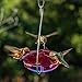 Droll Yankees RS-3HL 021964104832 Hummingbird, Outdoor Feeder with Hanger, 5 Oz, 3, Ruby/Lavender