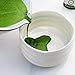eco heed Matcha Green Tea Powder Organic Ceremonial Grade 1.4oz - 1st Harvest Premium Matcha From Uji – Matcha Wellness