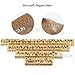ZONEPACK Embossing Mold Copper Brass Stamping Flexible Letters Numbers Alphabets Symbols Characters(Microsoft Elegant black with Wood Box)
