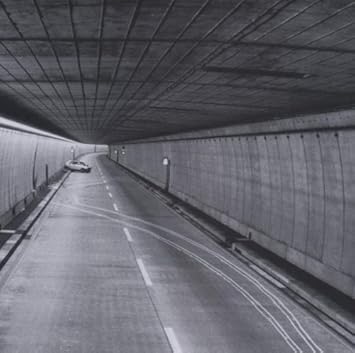 Image result for a lazarus taxon