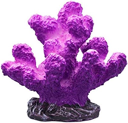 Ialnai Small Saltwater Imitation Coral Fish and Shrimp Dodge Rock Hideout Small Decor for Fish Tank or Mini Bowl
