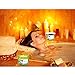 Eucalyptus Spearmint Aromatherapy Candle 3-Wick | Soy Scented Candles for Home | 15.8 oz Large Candle for Men and Women | Long Lasting Eucalyptus Candles | Decorative Candle Gift