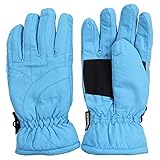 Women's Thinsulate Lined Waterproof Microfiber Winter Ski Gloves