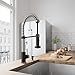 VIGO Edison 19'' H Single Handle Pull-Down Sprayer Kitchen Faucet in Stainless Steel and Matte Black-VG02001STMB